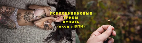 тгк Алзамай