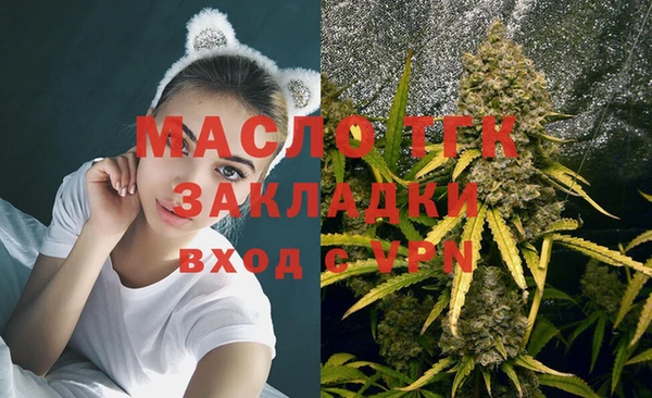 тгк Алзамай