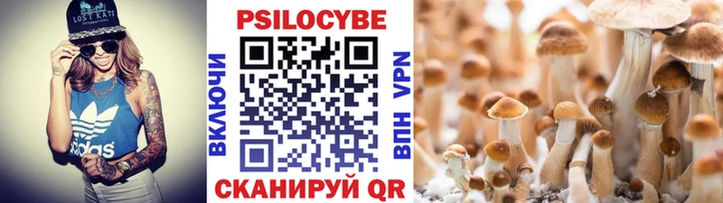 OMG как войти  что такое   Шарыпово  Галлюциногенные грибы мухоморы 
